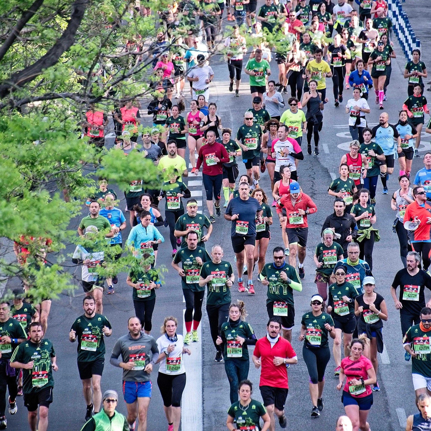 Pack: Media maratón de asfalto